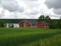 <b>mökkitieltäpäin</b>