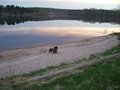 <b>aurinkopaikan ranta keväällä</b>