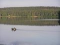 <b>järvimaisema</b>